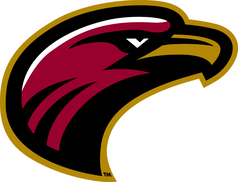 Louisiana-Monroe Warhawks 2006-Pres Alternate Logo v7 diy fabric transfer